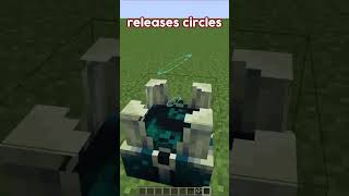 Hidden Circles in Minecraft shorts [upl. by Lorraine157]