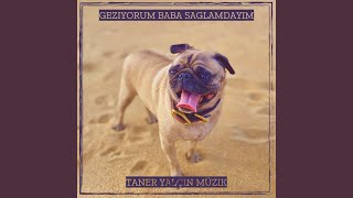 Geziyorum Baba Saglamdayim [upl. by Sinne]