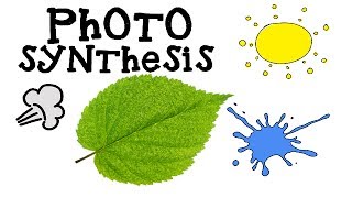 Photosynthesis for Kids  How plants make food  Animation Science [upl. by Anyrb791]