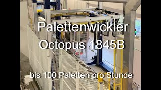 Palettenwickler Haloila Octopus 1845B [upl. by Ahsaeyt]