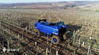 Travail du sol dans les vignes de Chablis avec Bakus robot enjambeur électrique et autonome [upl. by Conway968]