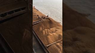 दुबई रेत क्यों खरीदता है  Dubai buy sand [upl. by Sharon]