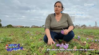 Vivez la Vendée  Elle cultive le safran l’épice la plus chère du monde [upl. by Jecon]