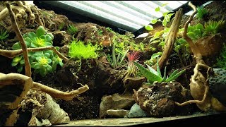 How I Built Marmadukes First Custom Bearded Dragon Terrarium Timestamps listed in description [upl. by Ahsimat]