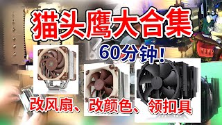 可能比官方都全 NOCTUA NHD15 D15S NHU9S U14S U12A 可能比官方都全 NOCTUA NHD15 D15S NHU9S U14S U12A 数码丨计算机丨DIY [upl. by Kantos]