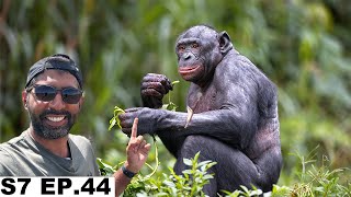 370 For Two Chimpanzees in Gombe National Park Tanzania S7 EP44  Pakistan to South Africa [upl. by Atwater]