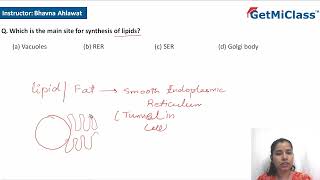 Lipids Synthesis [upl. by Roddy]