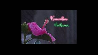 Any album song loversKanavellam Neethaane album song by Dhilip Varma [upl. by Komara986]