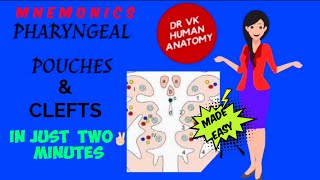 PHARYNGEAL POUCHES😀 amp CLEFTS  DERIVATIVES EASY MNEMONICS😍  NEW VIDEO 2021  Dr Vk Anatomy [upl. by Oppen723]