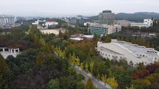 수원대학교 연습비행드론초보 연습촬영 연습비행dji mini2se [upl. by Bernadette]