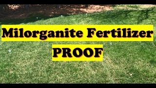 Grass Fertilizer Test PROOF  Milorganite Fertilizer Results Before and After LAWN CARE [upl. by Ranjiv]