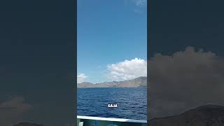 komodo island Nusa tenggara Timur labuanbajotrip ntt labuanbajo [upl. by Sudnor]