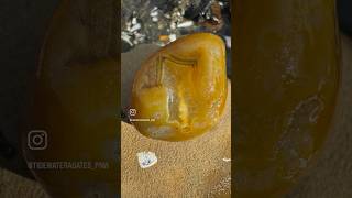 What a beautiful agate 😍agates agate agatehunting rockhounding rockhound beachcombing [upl. by Brinson772]