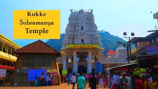 Kukke Subramanya Temple  Sarpa Dosha  sarpa samskara pooja  Near Mangaluru and Dharmasthala [upl. by Adnat269]