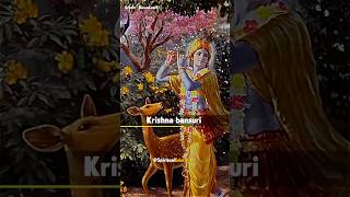 Pure love of Gopis for Sri Krishna 🌻❤️ shorts love [upl. by Yonah]