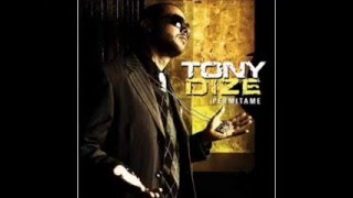 Tony Dize feat Yandel  Permitame [upl. by Raab]