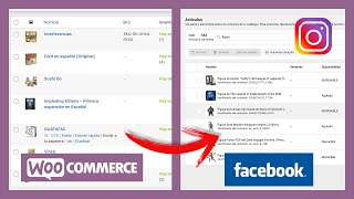 Sincronizar WooCommerce con Facebook e Instagram  Productos y Píxel  Paso a Paso  2022  Diegol [upl. by Hay]