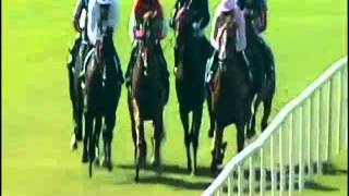 Zoffany  Phoenix Stakes Gr1 [upl. by Cibis992]