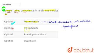 Single  celled uninucleate form of slime moulds is  12  PROTISTA  BIOLOGY  ARIHANT NEET [upl. by Enaj]