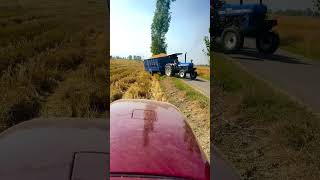 New holland itna load lekar aaram se chhad gya jaat shorts youtubeshorts [upl. by Arreip]