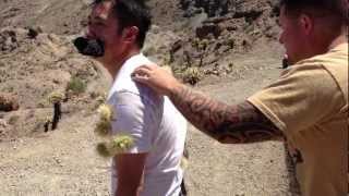 Cholla Cactus Attack [upl. by Miner]