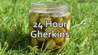 24 Hour Homemade Pickles Recipe  Easy Sweet Dill Pickles [upl. by Nnaylloh873]