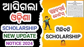 Odisha Scholarship New Update 2024  25 । Odisha State Scholarship Portal New Scholarship Apply 2024 [upl. by Annael]