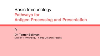 Dr Tamer Soliman  Basic Immunology  Pathways for Antigen Processing and Presentation [upl. by Xuerd]