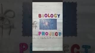 Gene Therapy  Biology Investigatory Project  Class 12th  CBSE  TERM 2  20212022 [upl. by Dorreg]