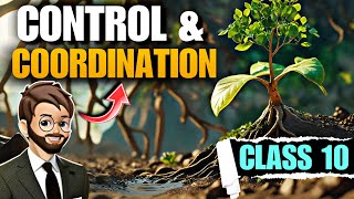 Control And Coordination Class 10  Animation Part  2  Class 10 Science Biology Chapter 7 [upl. by Aneeg902]