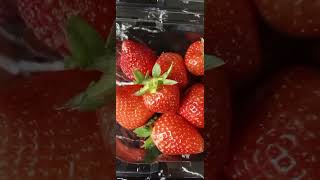 Fresh Strawberries 🍓🍓shorts shortsviral trendingshorts trending shortvideo viralshorts [upl. by Tessie]