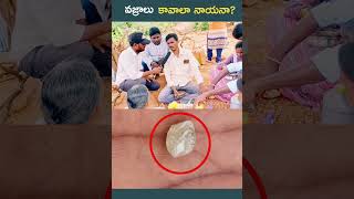 వజ్రాల గని diamond trending shorts viralvideo [upl. by Mahgirb]