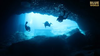 Blue Grotto in Florida We get to dive the secret cave [upl. by Annad791]