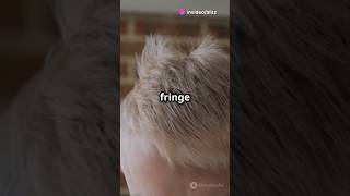 How to style a textured fluffy fringe viralvideo fypシ゚ fypシ゚viral viralvideos viralvideo [upl. by Irving]