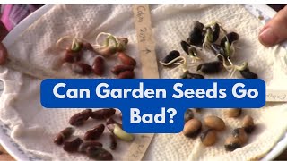 Can Garden Seeds go Bad [upl. by Marcelo630]