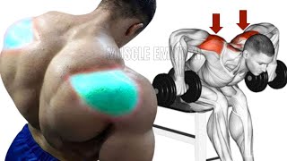 5 BEST REAR DELTOID EXERCISES WITH DUMBBELLS ONLY AT HOME [upl. by Afatsuom]