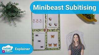 Minibeasts Subitising Numbers 1 to 5 Sorting Activity [upl. by Ahsekel]