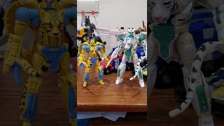 Transformers Beast Wars Kingdom Tigatron CLEARS Cheetor Transformers shorts fypシ゚viral [upl. by Lanuk237]