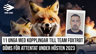 11 UNGA MED KOPPLINGAR TILL TEAM FOXTROT DÖMS FÖR ATTENTAT HÖSTEN 2023  HELA RÄTTEGÅNGEN [upl. by Aihsit]