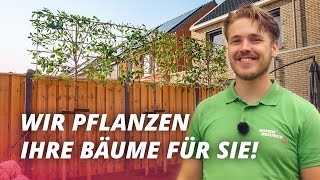 Lassen Sie Ihre Bäume mit unserem Einpflanzservice pflanzen [upl. by Brahear322]