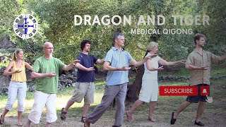 Dragon and Tiger Medical Qigong [upl. by Kristofor831]