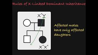 X Linked Dominant Traits in a Pedigree [upl. by Gisser]