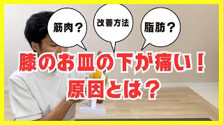 【膝のお皿の下が痛い！】2つの原因と解決方法を教えます [upl. by Leunad]