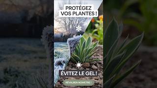 Comment Protéger Ses Plantes du Gel  Astuces et Conseils [upl. by Debera]