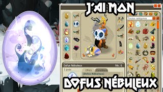 Dofus Humility  Jai Mon Dofus Nébuleux  Quête De lOiseau Du Temps [upl. by Hteboj696]