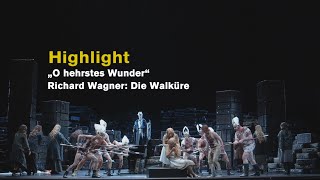 Richard Wagner DIE WALKÜRE quotO hehrstes Wunderquot Highlights [upl. by Judye929]