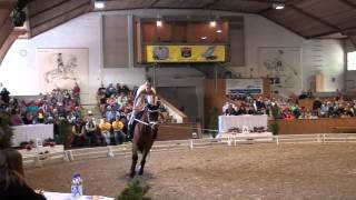 CVI Bern 2015  Melina Tresch SUI CVI3 [upl. by Acinehs]