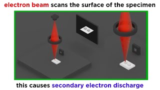 Electron Microscopy TEM and SEM [upl. by Henrion60]