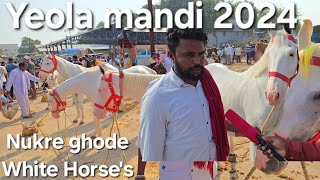 8 October 2024 Dussehra mandi Yeola ghoda bazar  Sonu bhai ke Nukre ghode in yeola horse market [upl. by Lebiram]