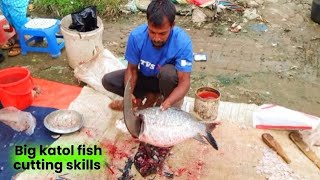 biler tatka katol fish cutting fishing fishcutting fishingvideo fishcuttingskills villagelife [upl. by Liryc]